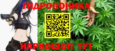 скорость Дубна