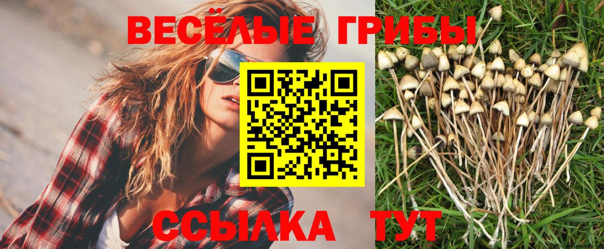 Москва  Псилоцибиновые грибы Magic Shrooms  Вход с VPN 