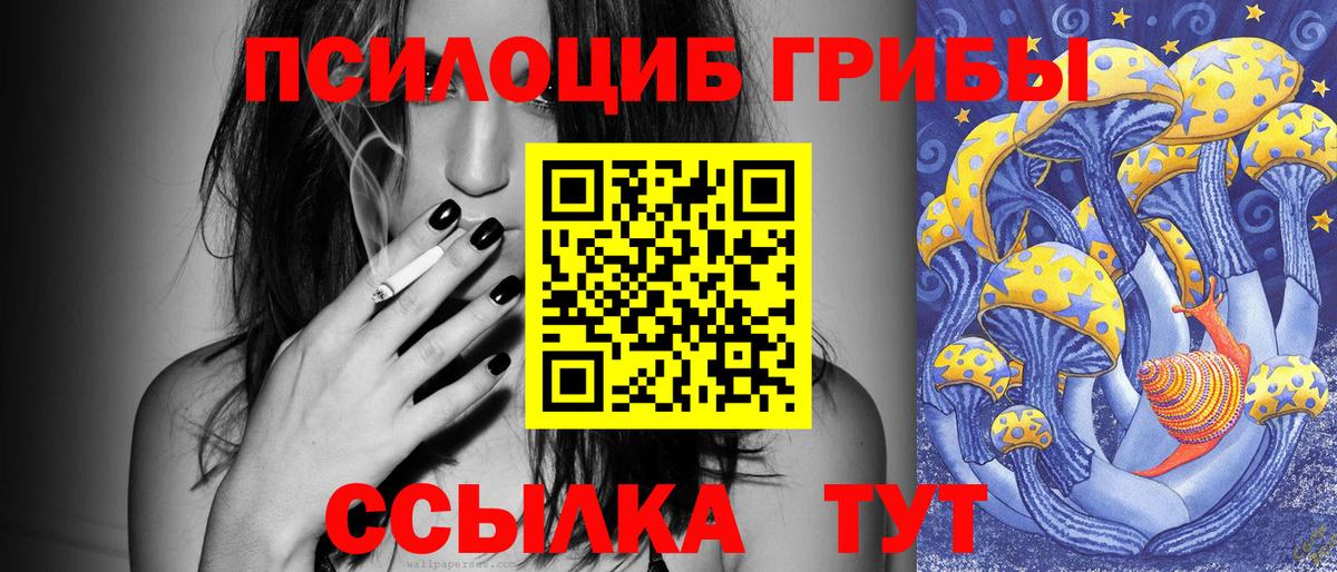 Псилоцибиновые грибы Psilocybe Москва